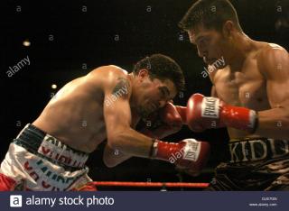 Julio Diaz vs Javier Jauregui