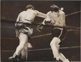 fight